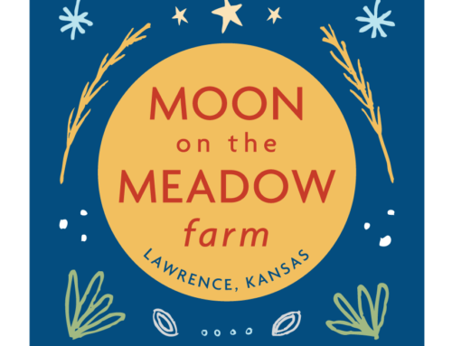 Moon on the Meadow